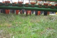 FeriaAgricoladeLerma-228