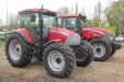 FeriaAgricoladeLerma-239
