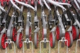 FeriaAgricoladeLerma-294