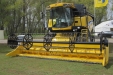 FeriaAgricoladeLerma-381