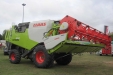 FeriaAgricoladeLerma-418