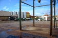RecoleciónOlivaAlmazara-10