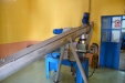 RecoleciónOlivaAlmazara-23