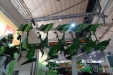 Agritechnica2015-494