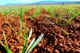 L8