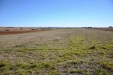 aradomilagrosogirasol-01