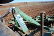 aradomilagrosogirasol-10