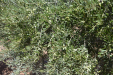 DSC5730