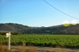 California-008