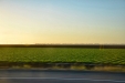 California-016