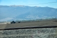 California-027