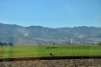 California-030
