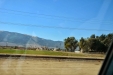 California-031