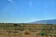 California-047
