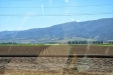 California-056