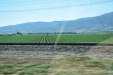 California-057