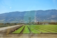 California-061