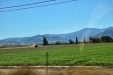 California-066