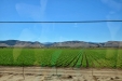 California-078