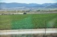 California-084