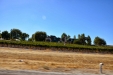 California-094