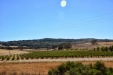 California-099