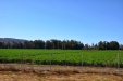 California-101