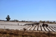 California-103