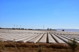 California-104