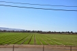 California-106