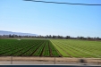 California-107