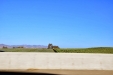 California-108