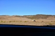 California-117