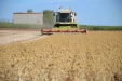 Carcamo-07