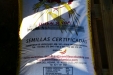 SementeraCerealesLeguminosas-12