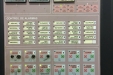 Cogiendo_Aceituna_Picual-37