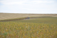 CogerAjos_JJBroch-51