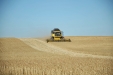 NewHollandCX8060-31