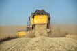 NewHollandCX8060-34