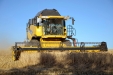NewHollandCX8060-50