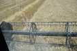 Fendt 6300C-06