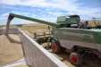 Fendt 6300C-12