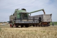 Fendt 6300C-13