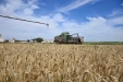 Fendt 6300C-14