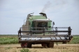Fendt 6300C-16
