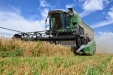 Fendt 6300C-19