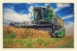 Fendt 6300C-20
