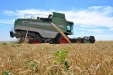 Fendt 6300C-22