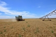 Fendt 6300C-25