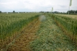 Demoagro2013-210
